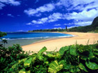 Summer wallpapers61